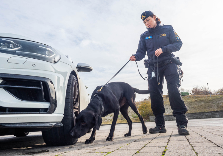 Josefin Frid med hunden Atte, årets narkotikasökhund 2019. Foto: Anders Roos.