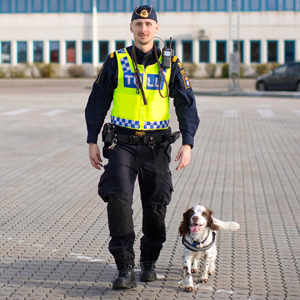 Tullinspektör i uniform tillsammans med tjänstehund.