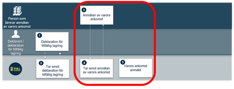 Schematisk bild över processen vid anmälan av varors ankomst och deklaration för tillfällig lagring