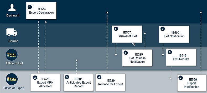 Procedure for standard customs declaration for exports