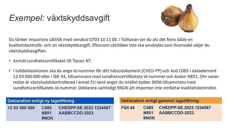 I tulldeklarationen ska du ange id-nummer för ditt hälsodokument (CHED-PP) och kod C085 i dataelement 12 03 000 000 eller i fält 44, tillsammans med sundhetscertifikatets id-nummer och koden N851. Om varan redan är växtskyddskontrollerad i annat EU-land anger du istället koden 9006 tillsammans med sundhetscertifikatets id-nummer. Deklarera samtidigt 9NOK att importen inte omfattar kvalitetskontroller.